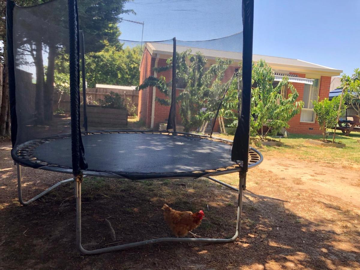 Charlie sweet home at Mornington Peninsula Mount Martha Buitenkant foto